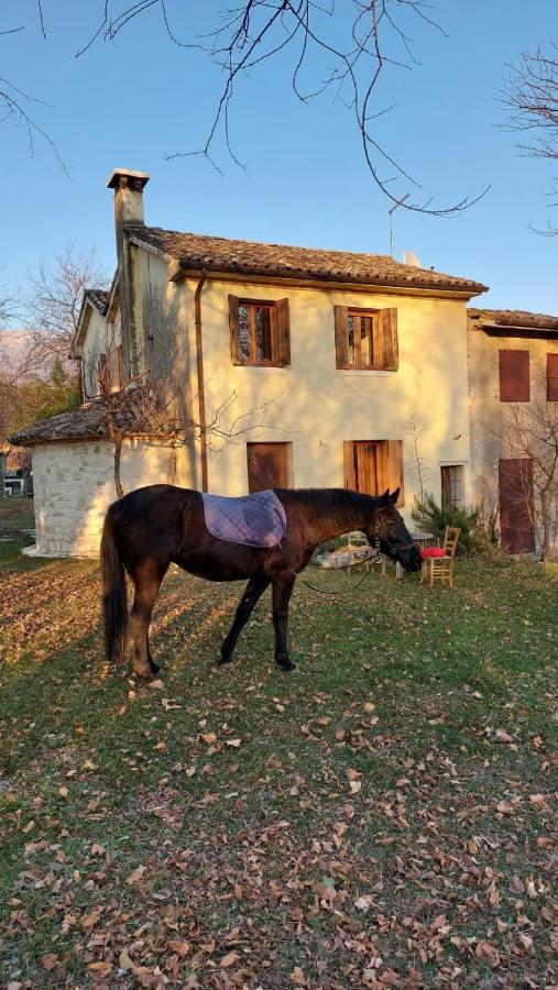 La Caneveta Al Piave Villa Валдобиадене Екстериор снимка