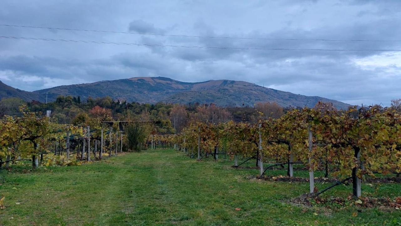 La Caneveta Al Piave Валдобиадене Екстериор снимка